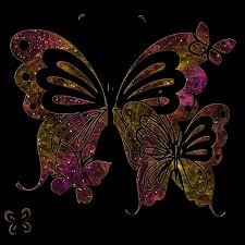 butterfly-107