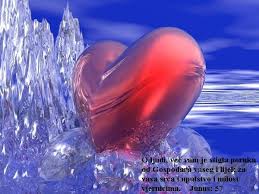 Srce