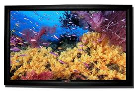 Fixed Frame Projection Screen