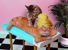 Massage!