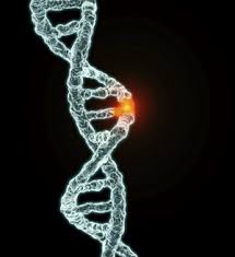 genetic