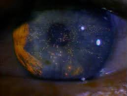 Blade Runner - via Daymix