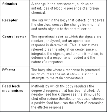 homeostasis