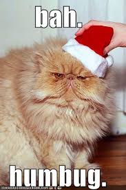 humbug