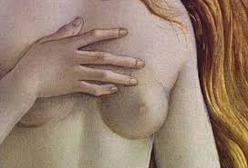 x26quot Breasts x26quot by Charles Simic
