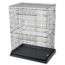 Medium parrot. Bird cage for