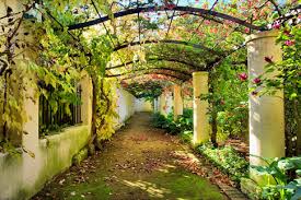 with notable Outdoor Settings
