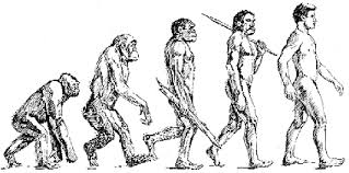 Darwinism in the Classroom - via Daymix