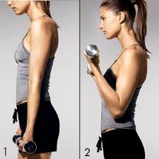of full-range bicep curls. - via Daymix