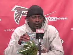 Image <b>Michael Vick</b> Picture