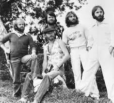 Image how diverse <b>the Beach Boys</b> Picture