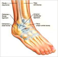 Most  ankle pain  can be traced
