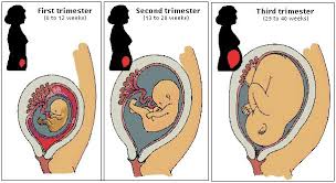 Here are 10 pregnancy signs: - via Daymix