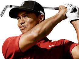 Image The golfer is a Tiger Picture