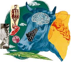 Could Mad-Cow Disease Happen - via Daymix