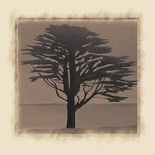 genealogy • family tree