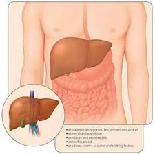Hepatitis C | TopNews
