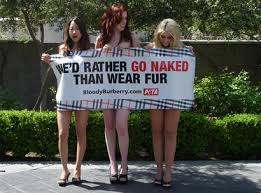 Peta + wow = facepalm - via Daymix