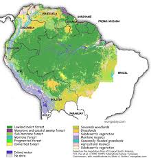 More on the Amazon - via Daymix