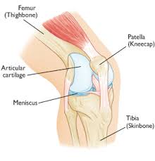  knee  ( anterior knee pain )