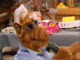 Alf TV Show Risky Business - via Daymix