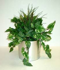 a plant - via Daymix