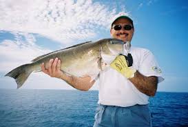 Spinning fishing