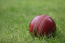 cricket - via Daymix