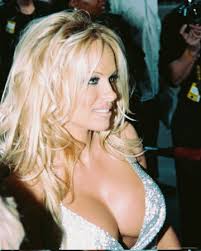 Pamela Anderson Photograph at - via Daymix