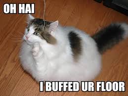 hai