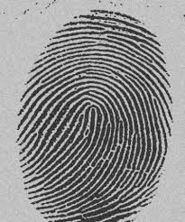 Fingerprints… - via Daymix