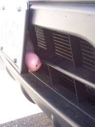 Easter Penis