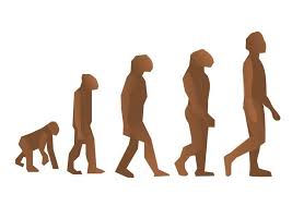 Is Human Evolution - via Daymix
