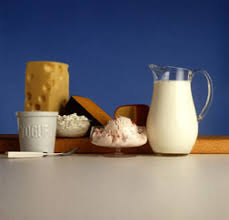   Dairy   Products