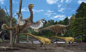 as dinosaurs got more - via Daymix