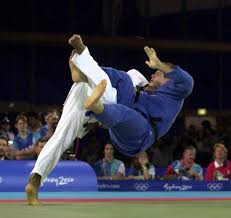 judo