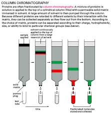 Batch and Column Chromatography