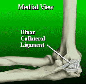  in for Tommy John surgery.