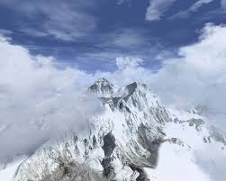 Image from Google