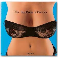 The  Big Book   of  Breasts  