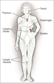 What is non-Hodgkin lymphoma?