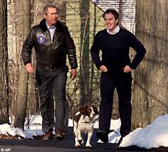 A Russian bare: Putin goes