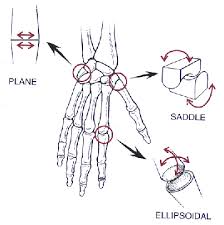 The Ellipsoid Joint - via Daymix