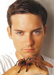 Tobey Maguire Image <b>Tobey< b> <b>Maguire< b> 0.jpg Picture 0