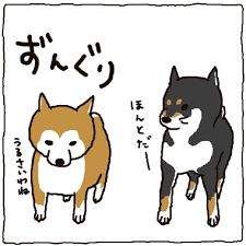短足の画像6