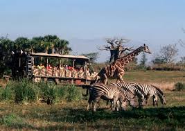 animals are cared for - via Daymix