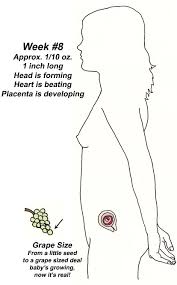 Pictures of Pregnancy Stages - via Daymix