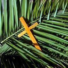 palm sunday 2010 palm sunday 2010 Photos