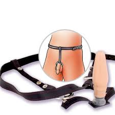   Butt Plug   Harness Some anal sex    