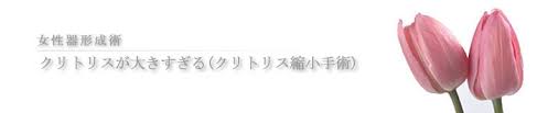 は、クリトリス切除法で適度